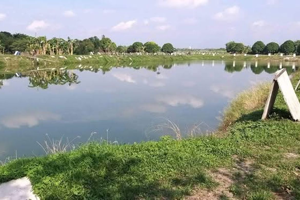 Land for Sale in Santa Barbara, Bacolor, Pampanga – photo 2