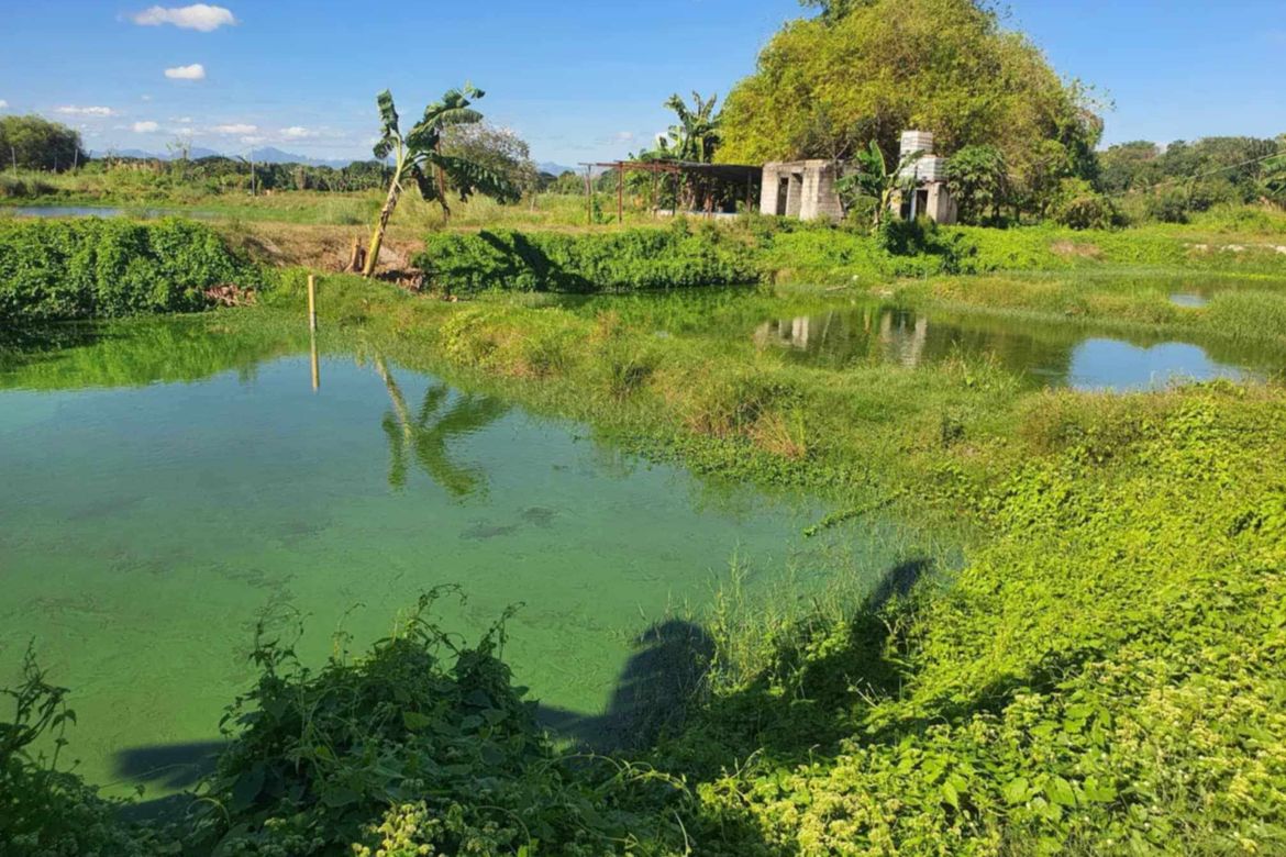 Land for Sale in Santa Barbara, Bacolor, Pampanga