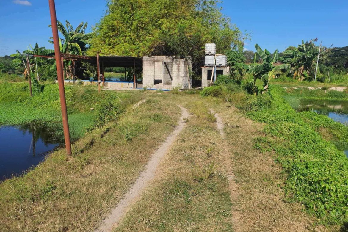 Land for Sale in Santa Barbara, Bacolor, Pampanga – photo 2