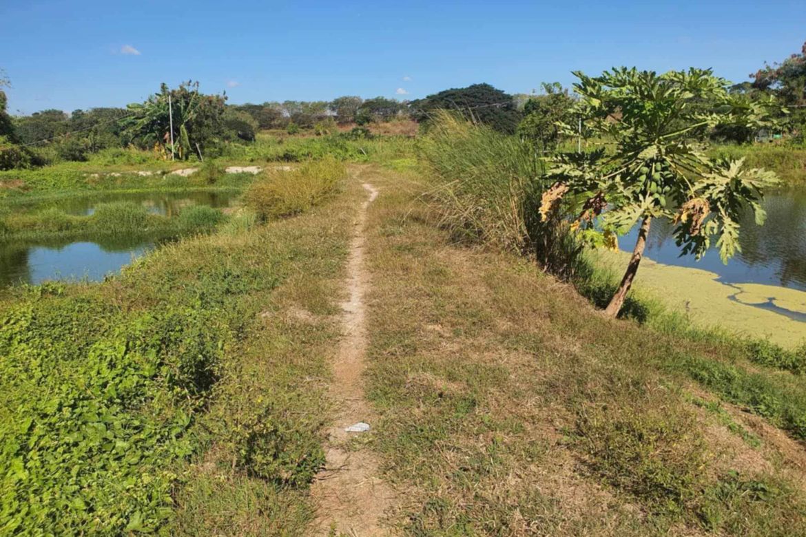 Land for Sale in Santa Barbara, Bacolor, Pampanga – photo 5