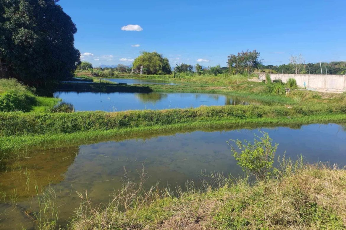 Land for Sale in Santa Barbara, Bacolor, Pampanga – photo 7