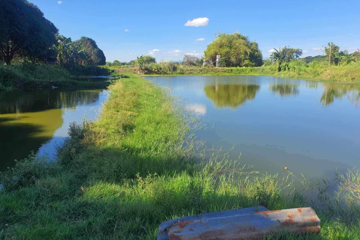 Land for Sale in Santa Barbara, Bacolor, Pampanga – photo 8