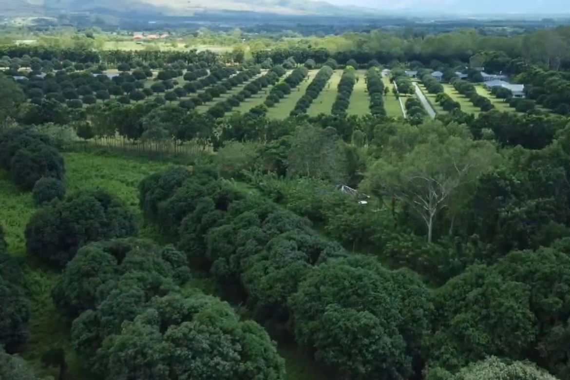 Land for Sale in Santa Barbara, Iba, Zambales – photo 6
