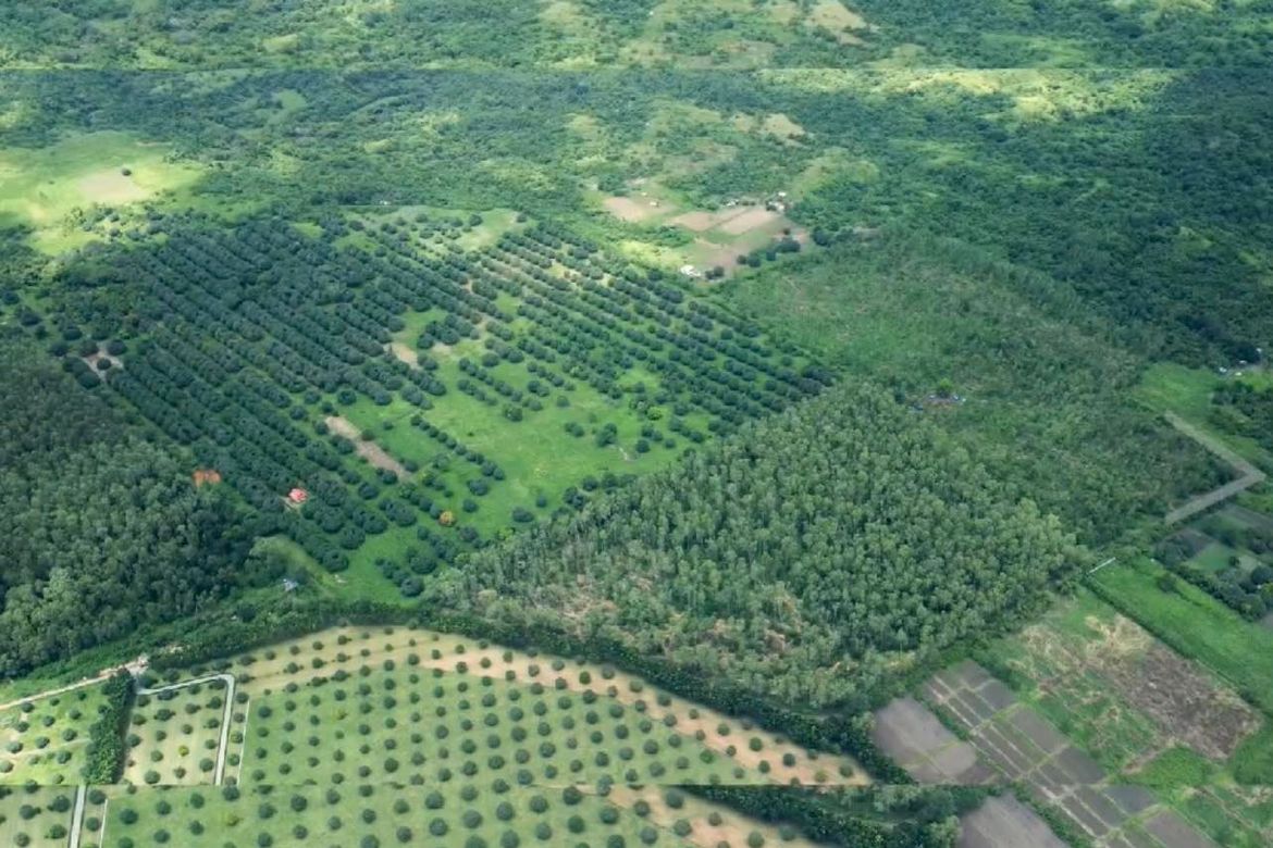 Land for Sale in Santa Barbara, Iba, Zambales – photo 7
