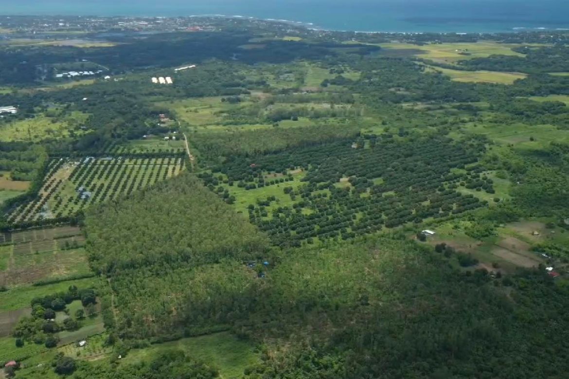Land for Sale in Santa Barbara, Iba, Zambales – photo 8