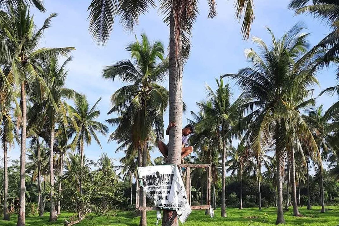 Land for Sale in Santa Catalina Sur, Candelaria, Quezon – photo 3