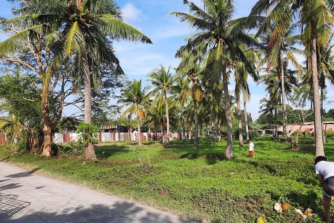 Land for Sale in Santa Catalina Sur, Candelaria, Quezon – photo 4
