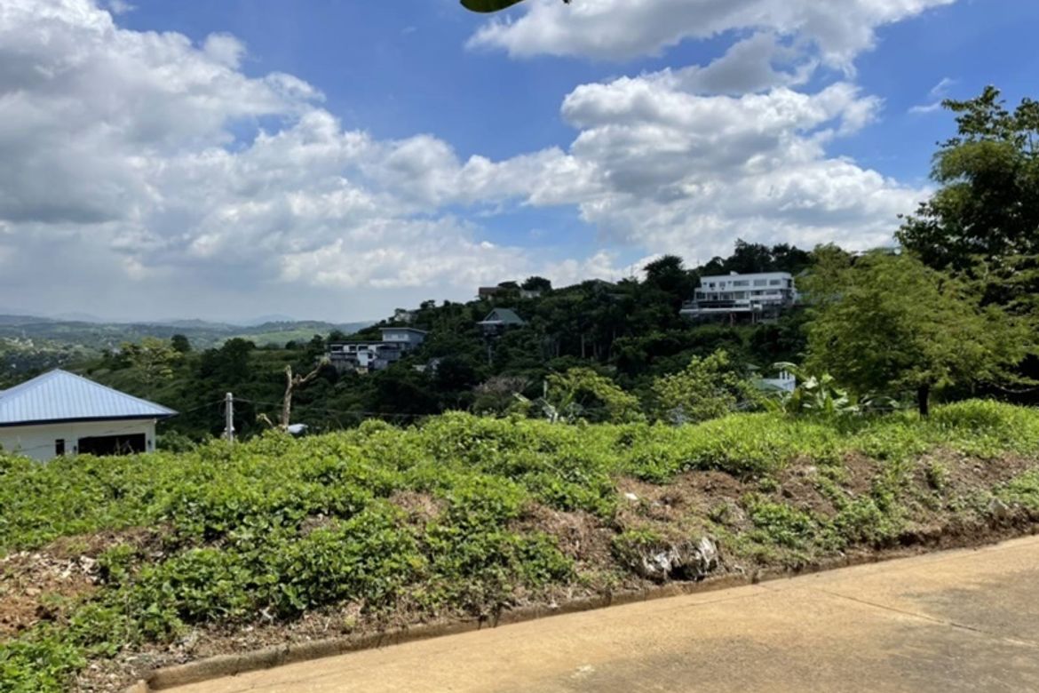 Land for Sale in Santa Cruz, Antipolo, Rizal – photo 2