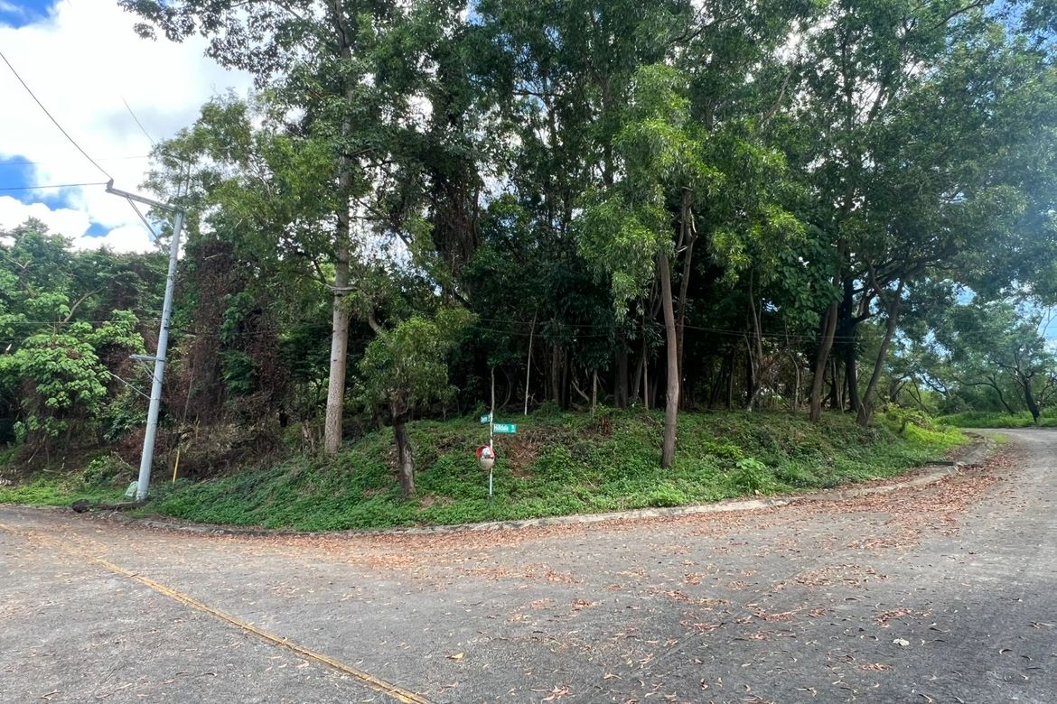 Land for Sale in Santa Cruz, Antipolo, Rizal – photo 4