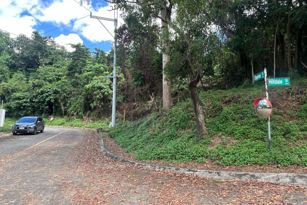Land for Sale in Santa Cruz, Antipolo, Rizal – photo 6