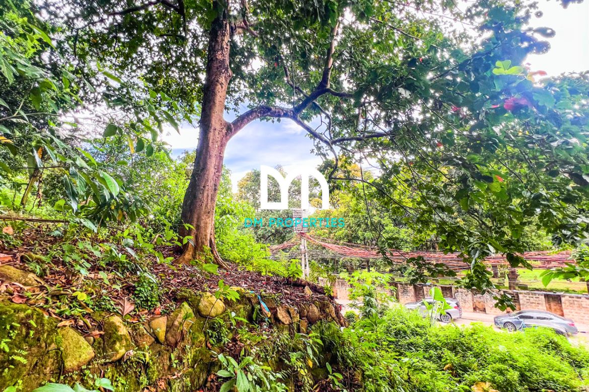 Land for Sale in Santa Cruz, Antipolo, Rizal – photo 2