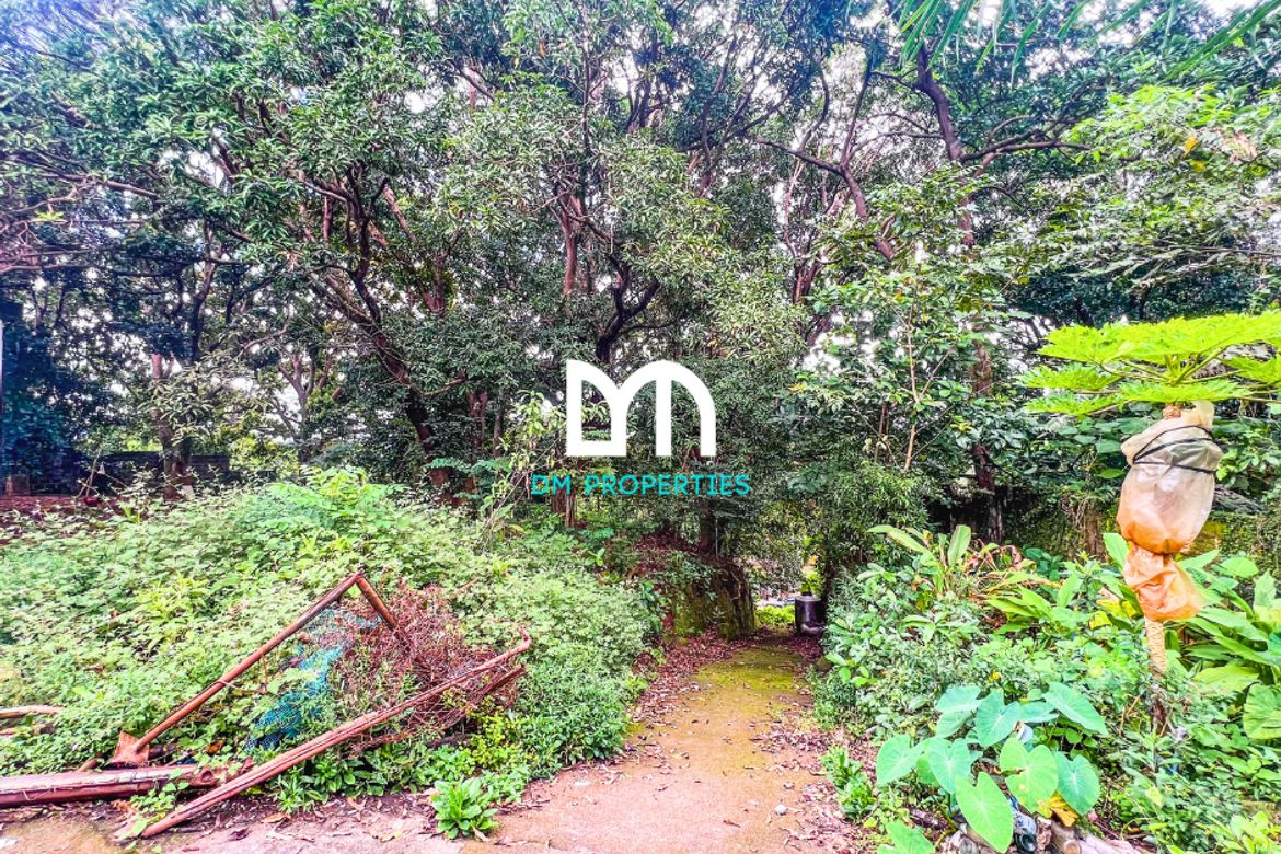 Land for Sale in Santa Cruz, Antipolo, Rizal – photo 5