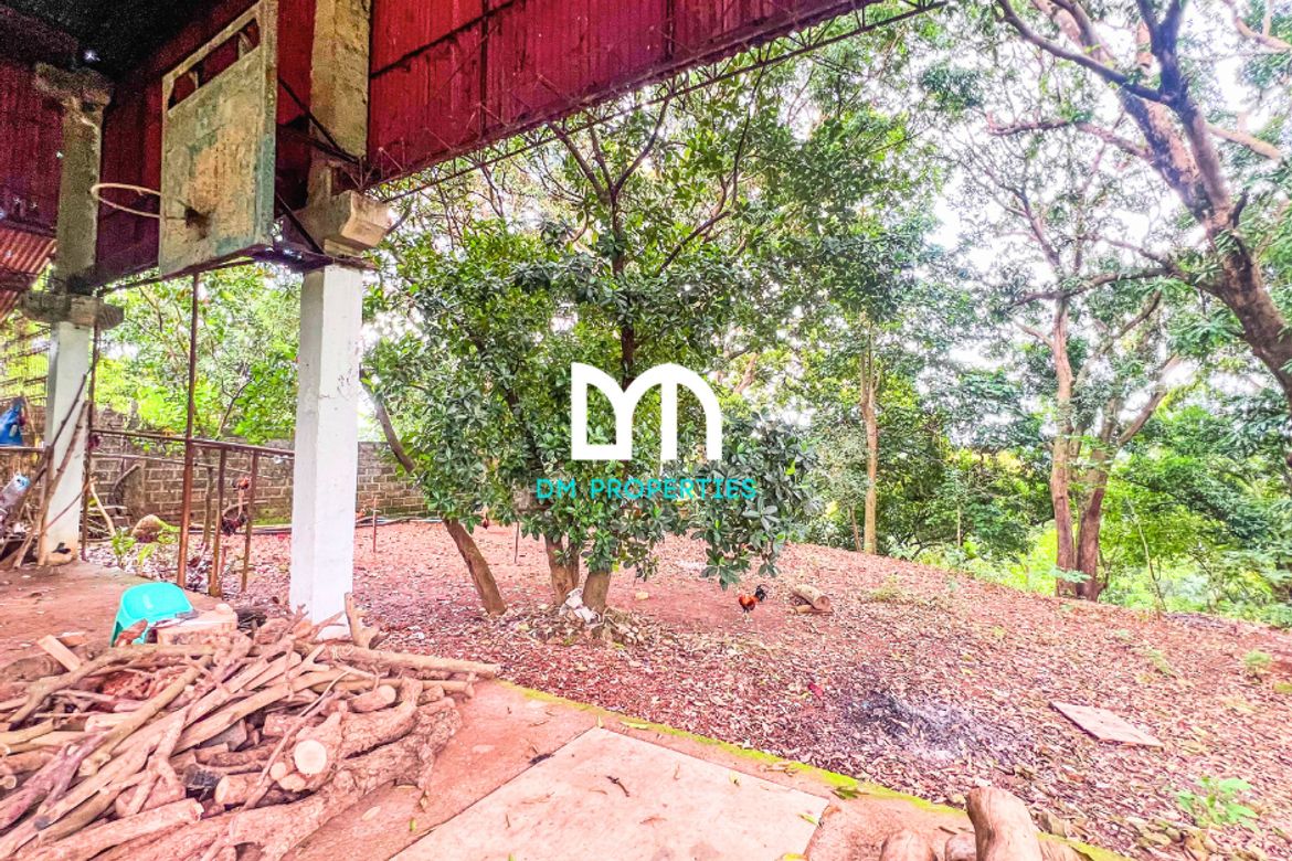 Land for Sale in Santa Cruz, Antipolo, Rizal – photo 6