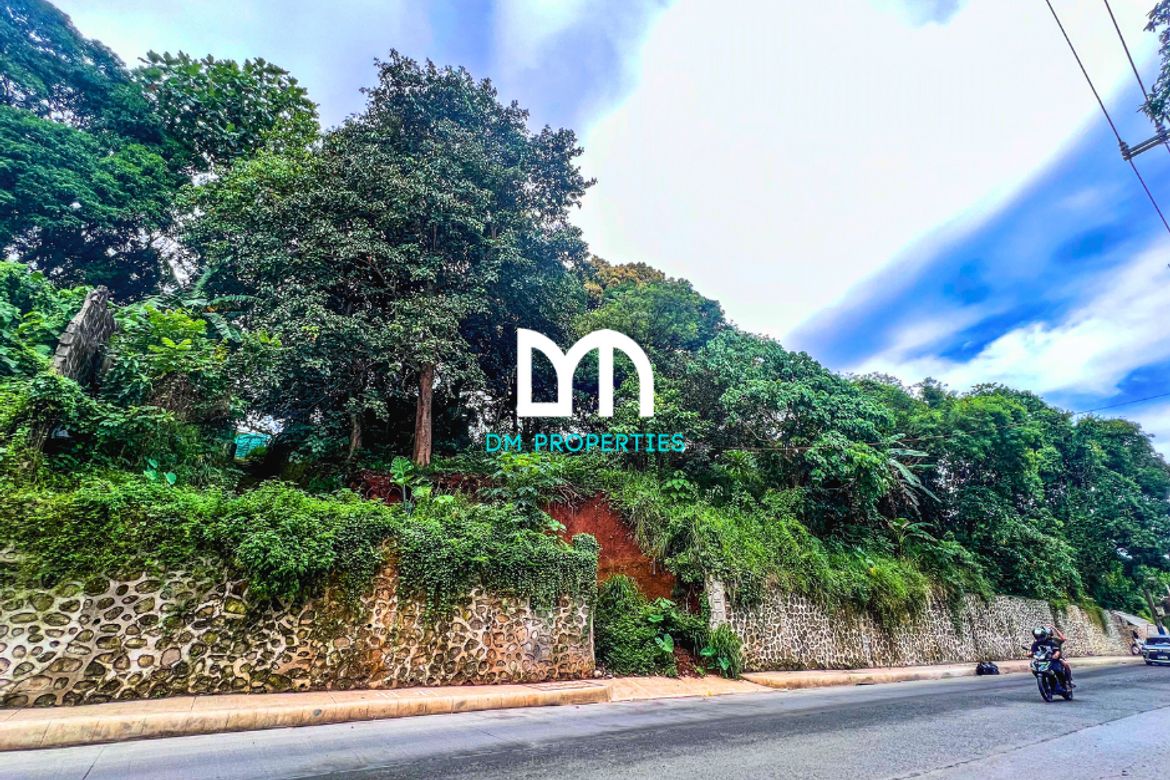 Land for Sale in Santa Cruz, Antipolo, Rizal – photo 8