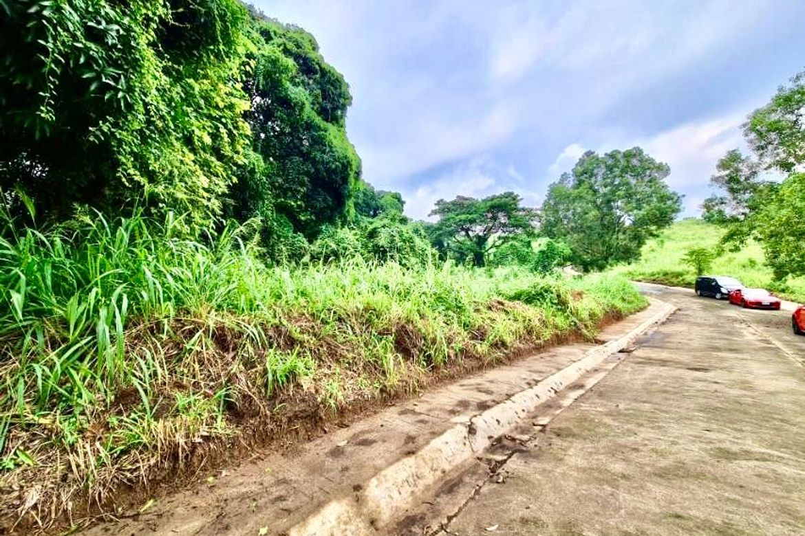 Land for Sale in Santa Cruz, Antipolo, Rizal