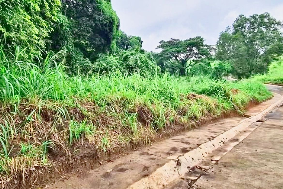 Land for Sale in Santa Cruz, Antipolo, Rizal – photo 2