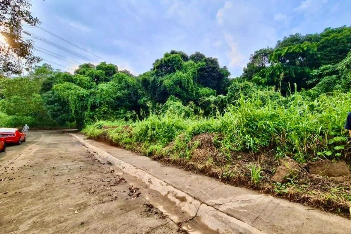 Land for Sale in Santa Cruz, Antipolo, Rizal – photo 3