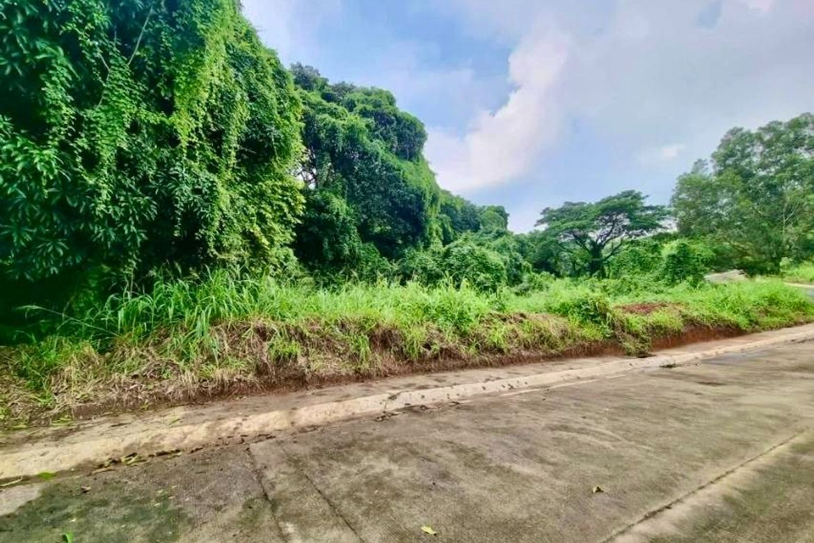 Land for Sale in Santa Cruz, Antipolo, Rizal – photo 4