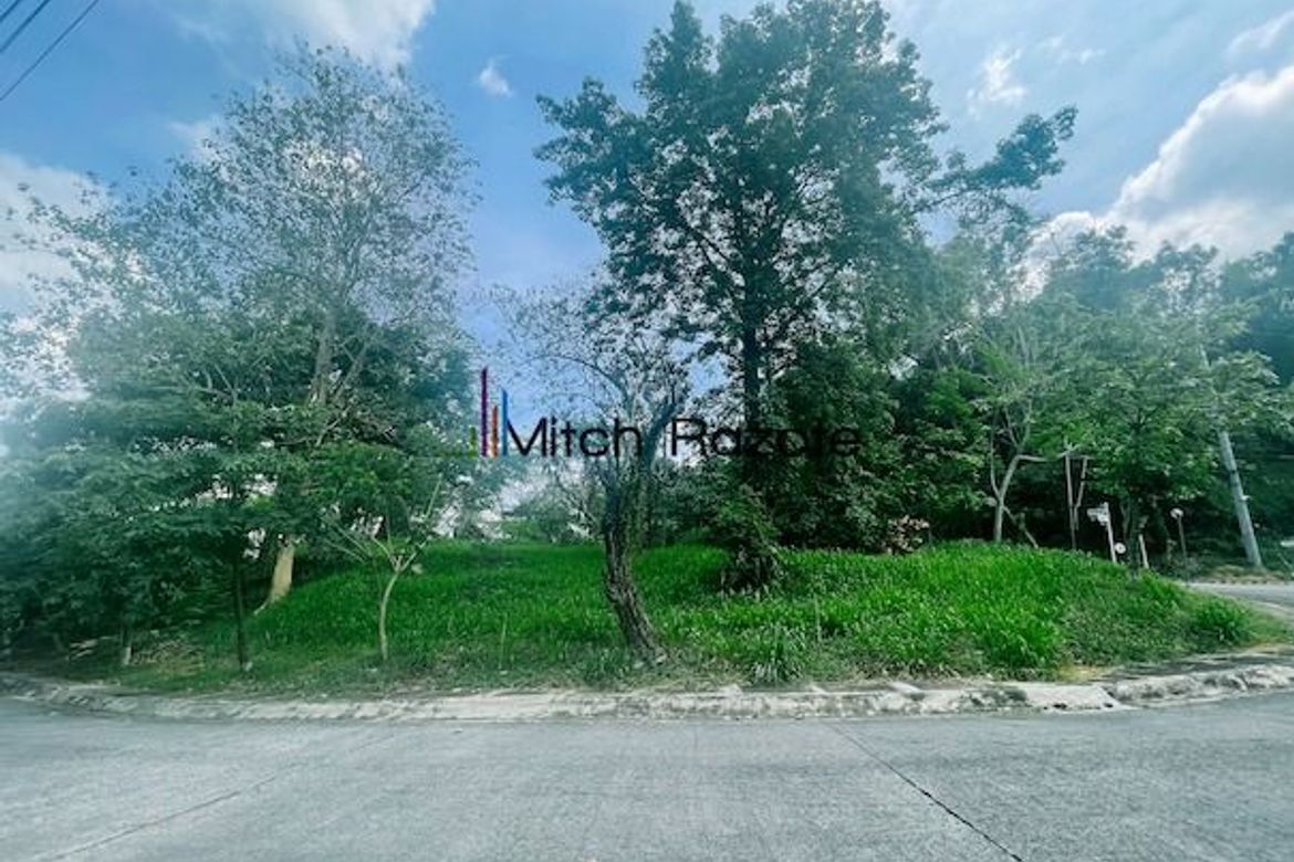 Land for Sale in Santa Cruz, Antipolo, Rizal – photo 3