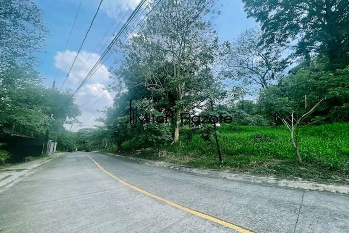 Land for Sale in Santa Cruz, Antipolo, Rizal – photo 4
