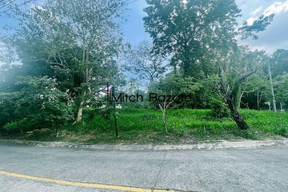 Land for Sale in Santa Cruz, Antipolo, Rizal – photo 6
