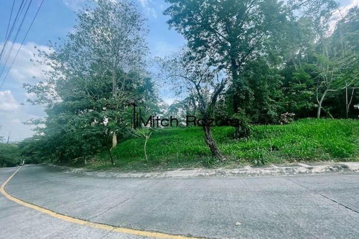 Land for Sale in Santa Cruz, Antipolo, Rizal – photo 7