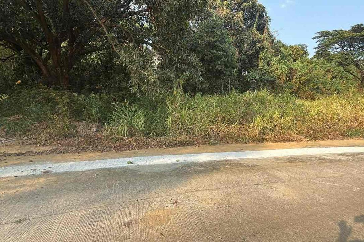 Land for Sale in Santa Cruz, Antipolo, Rizal – photo 4