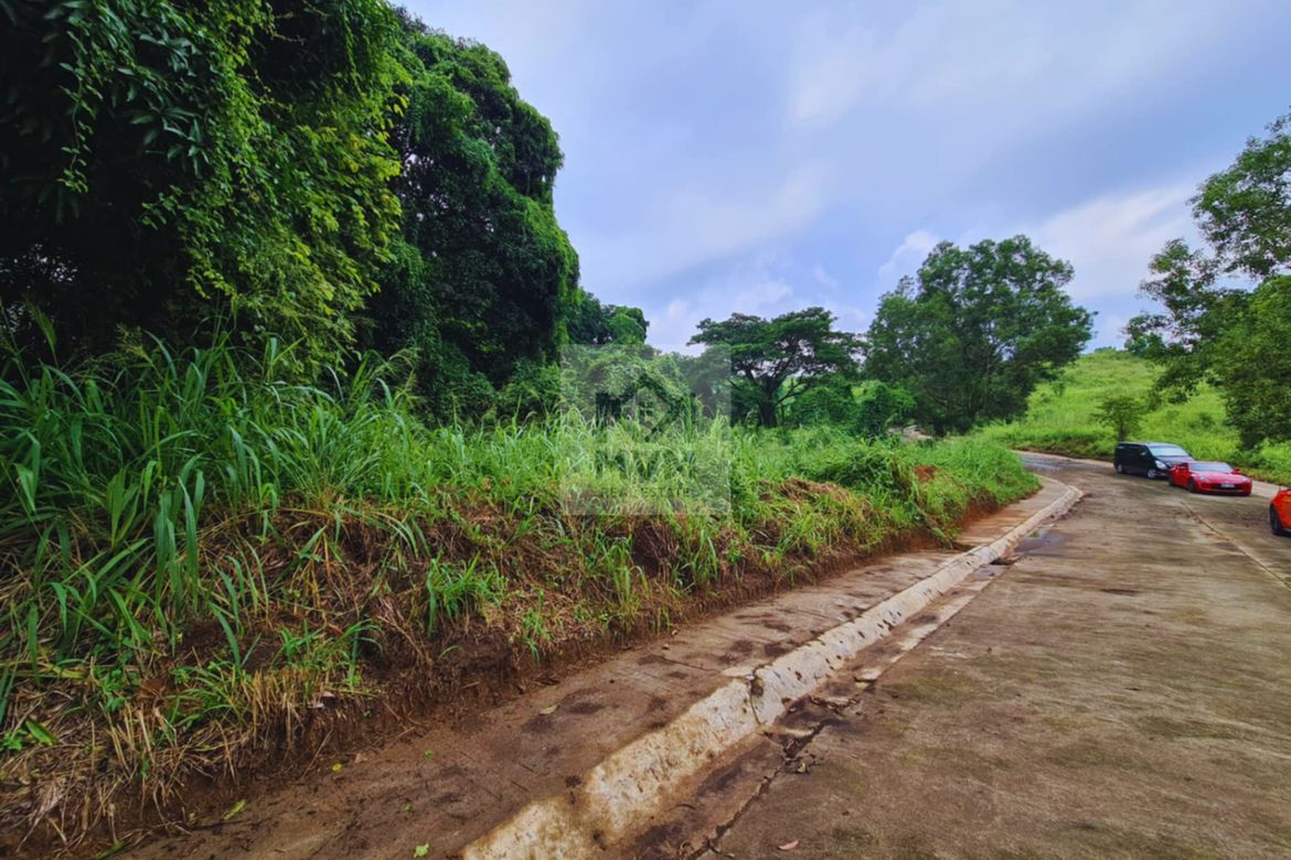 Land for Sale in Santa Cruz, Antipolo, Rizal – photo 3