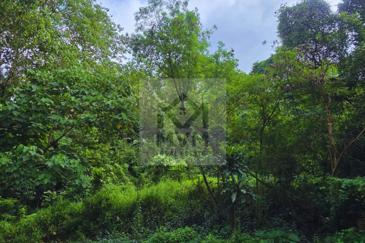 Land for Sale in Santa Cruz, Antipolo, Rizal – photo 4