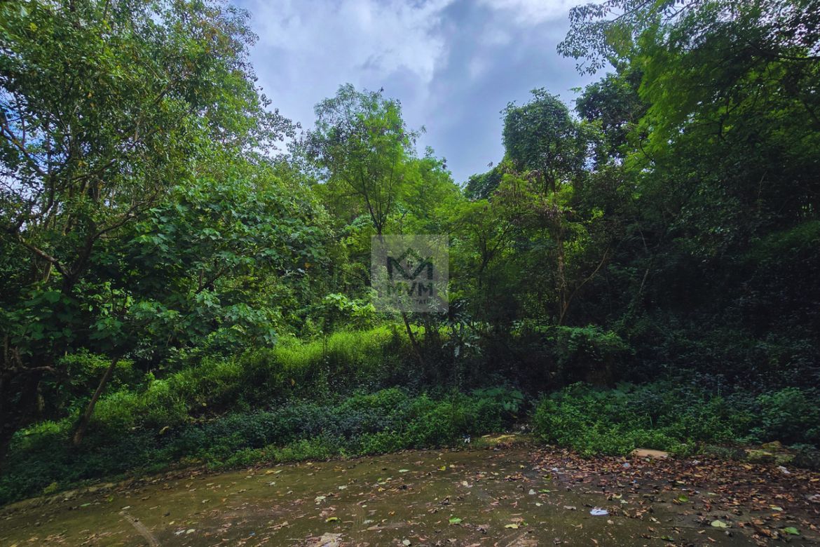 Land for Sale in Santa Cruz, Antipolo, Rizal – photo 5