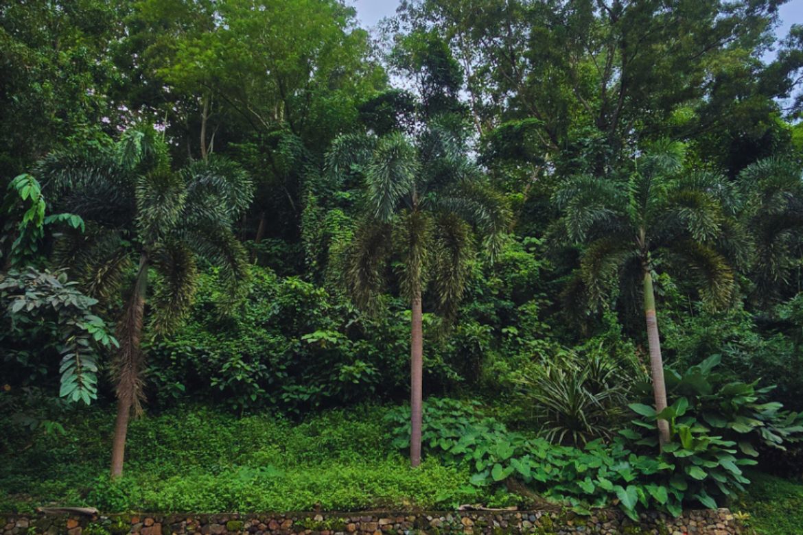 Land for Sale in Santa Cruz, Antipolo, Rizal – photo 6