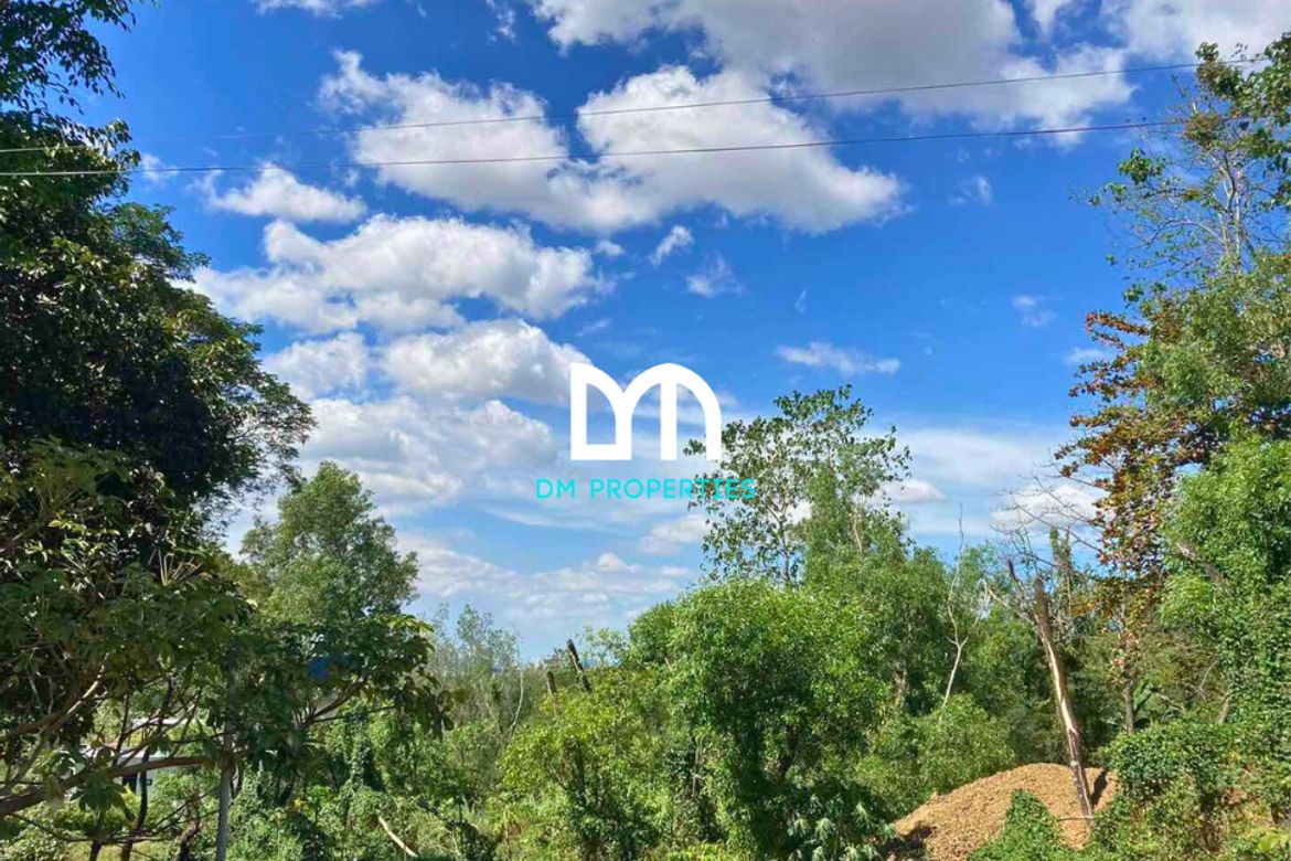 Land for Sale in Santa Cruz, Antipolo, Rizal – photo 2