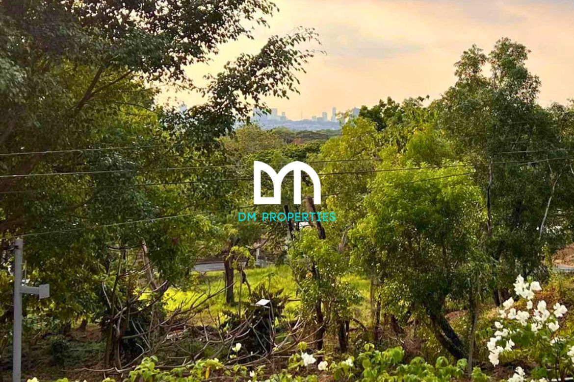 Land for Sale in Santa Cruz, Antipolo, Rizal – photo 3