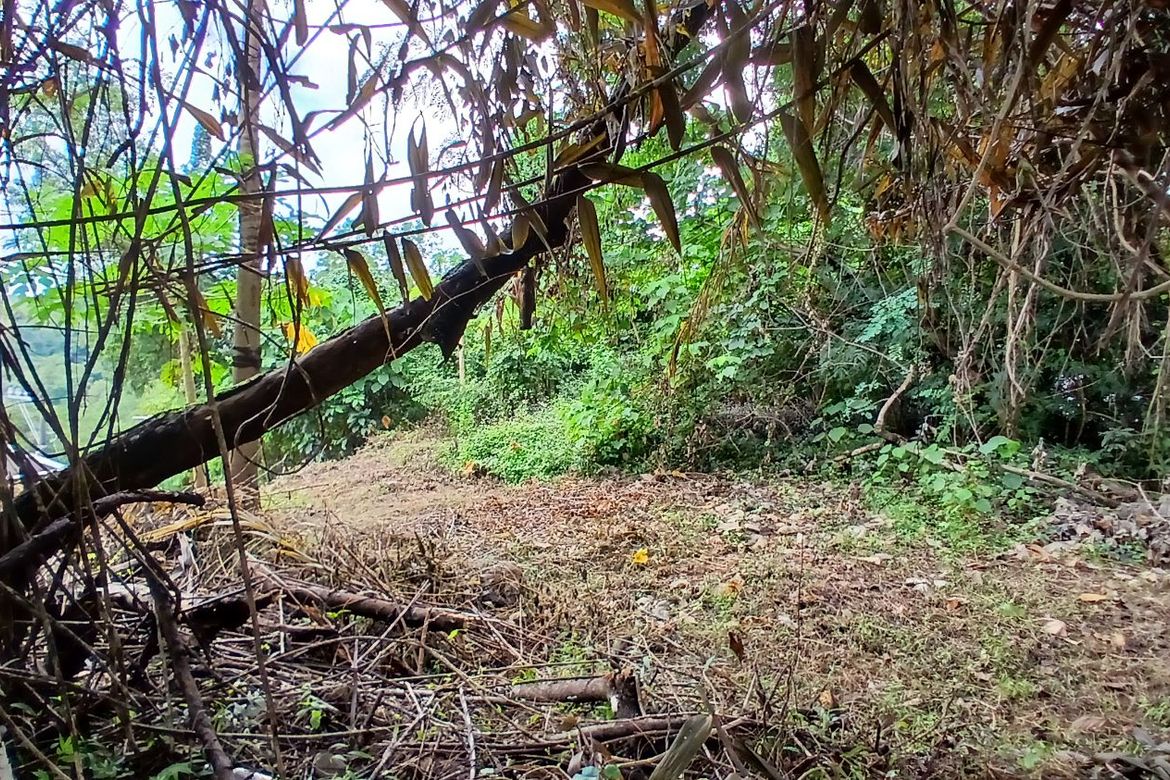 Land for Sale in Santa Cruz, Antipolo, Rizal – photo 3