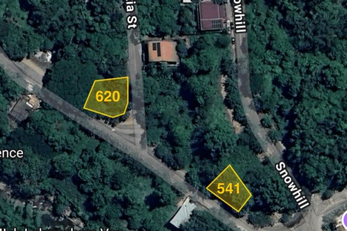 Land for Sale in Santa Cruz, Antipolo, Rizal – photo 2