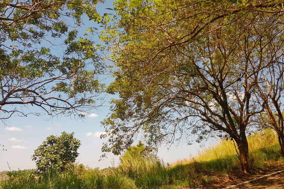 Land for Sale in Santa Cruz, Antipolo, Rizal