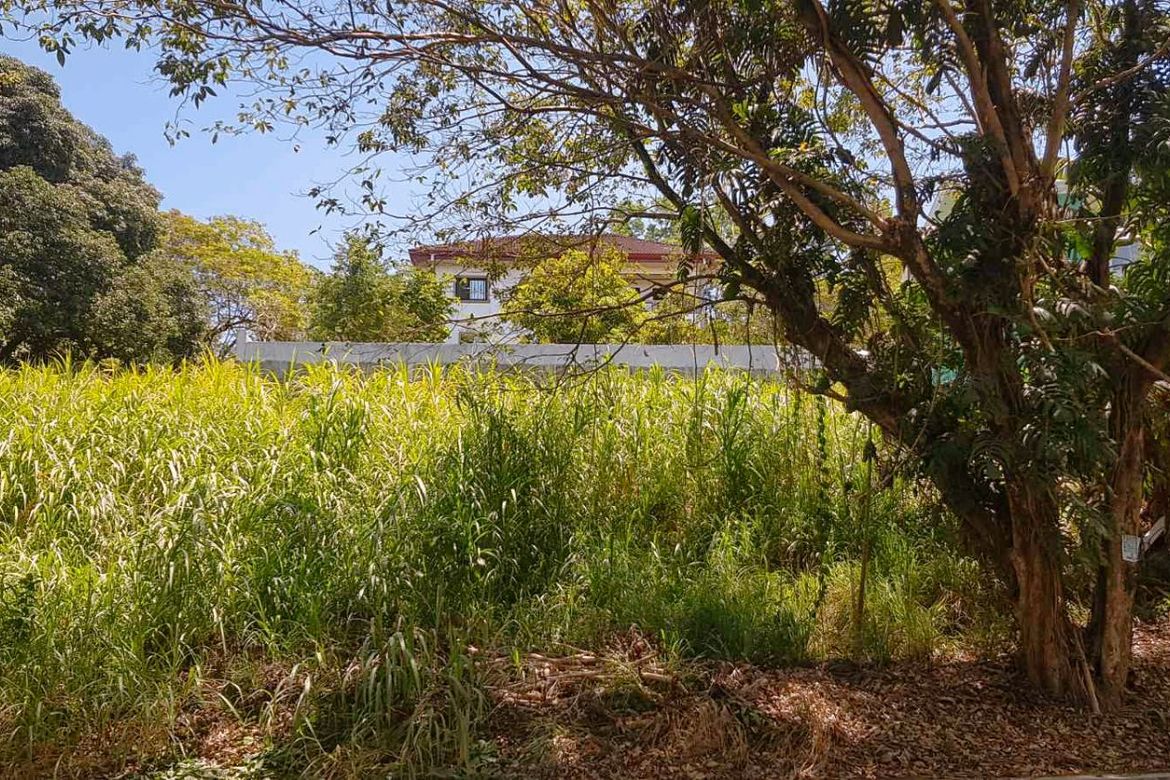 Land for Sale in Santa Cruz, Antipolo, Rizal – photo 5