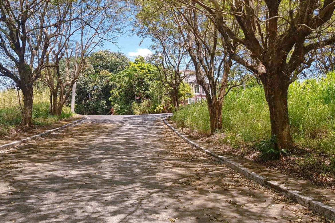 Land for Sale in Santa Cruz, Antipolo, Rizal – photo 6