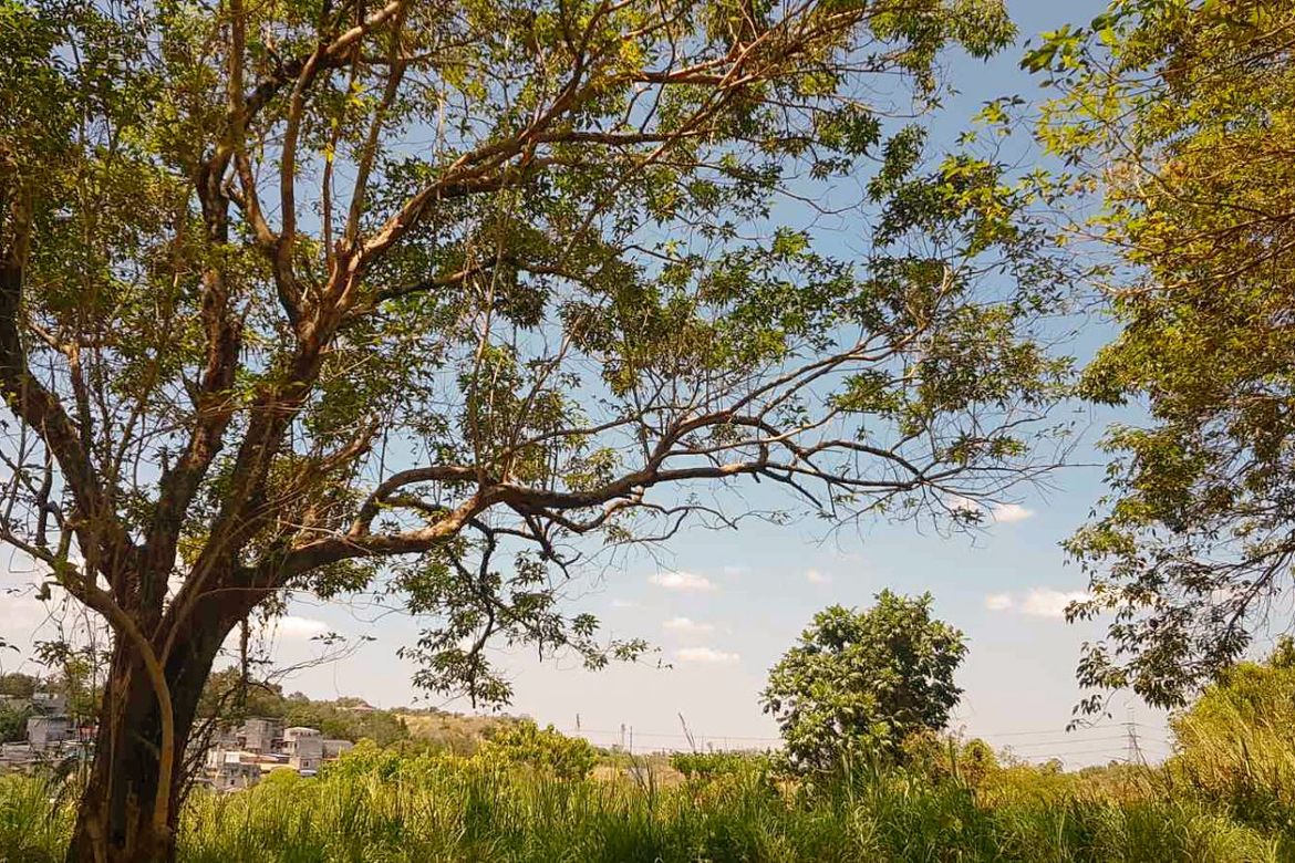 Land for Sale in Santa Cruz, Antipolo, Rizal – photo 7
