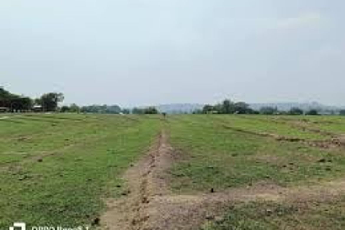 Land for Sale in Santa Cruz, Concepcion, Tarlac – photo 2