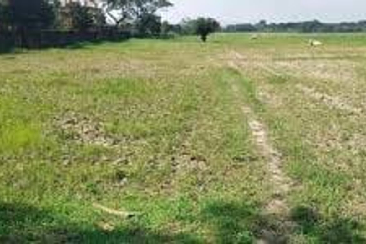 Land for Sale in Santa Cruz, Concepcion, Tarlac – photo 3