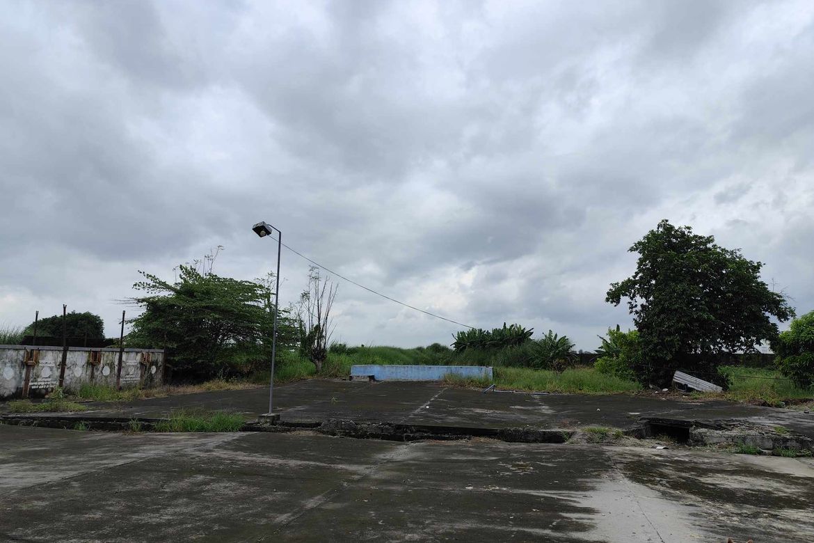 Land for Sale in Santa Cruz, Concepcion, Tarlac – photo 4