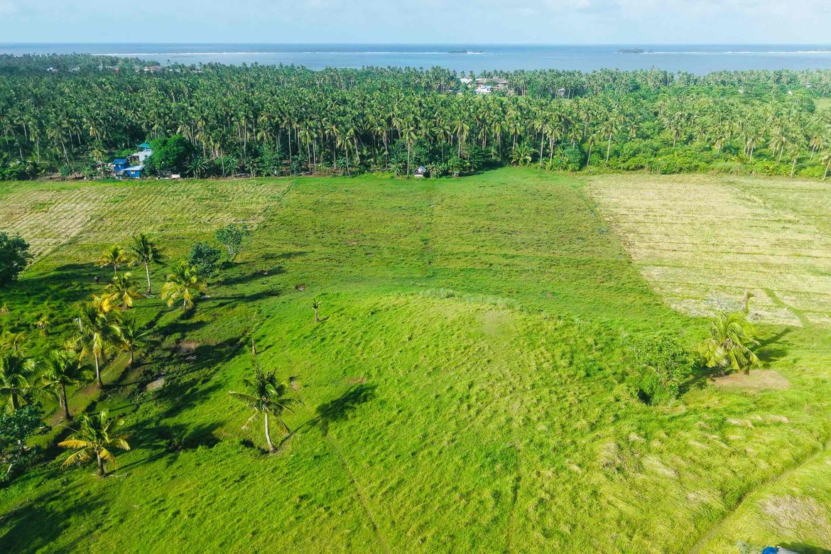 Land for Sale in Santa Cruz, General Luna, Surigao del Norte