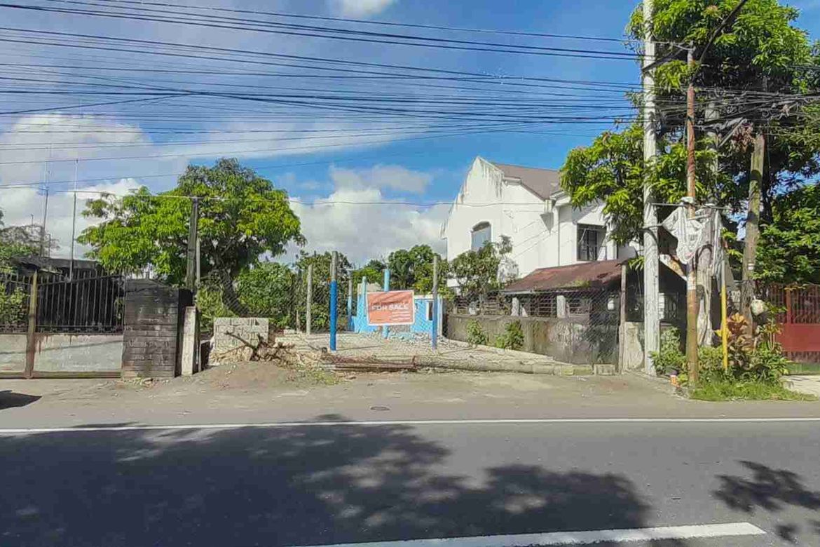 Land for Sale in Santa Cruz, Ligao, Albay – photo 2