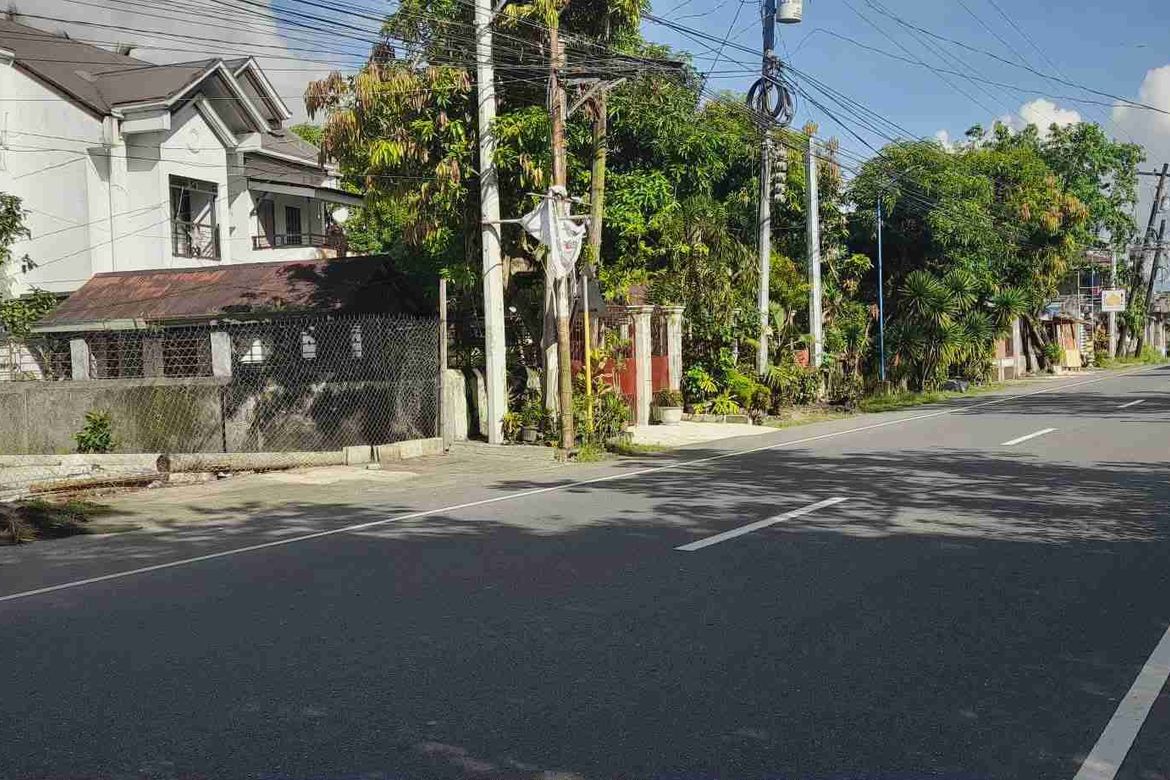 Land for Sale in Santa Cruz, Ligao, Albay – photo 3