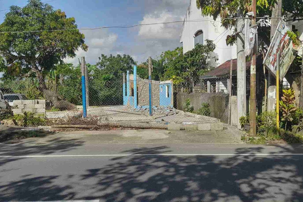 Land for Sale in Santa Cruz, Ligao, Albay – photo 7