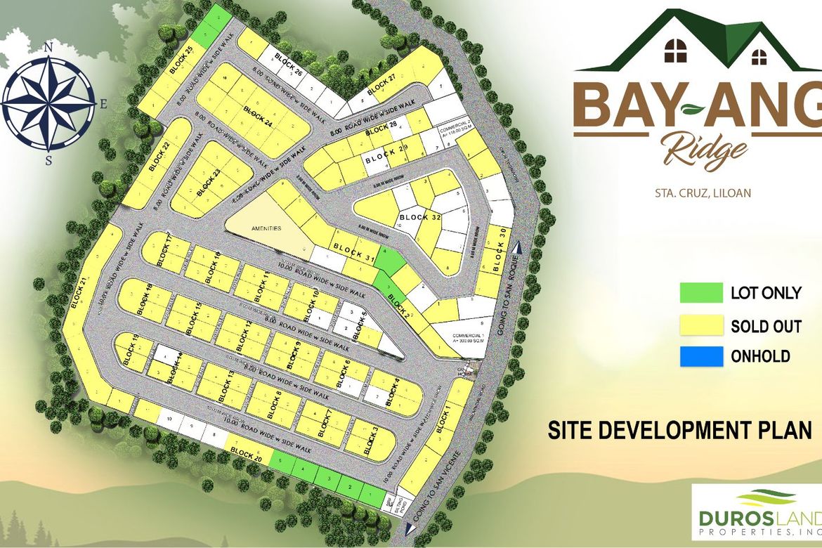 Land for Sale in Santa Cruz, Liloan, Cebu – photo 5