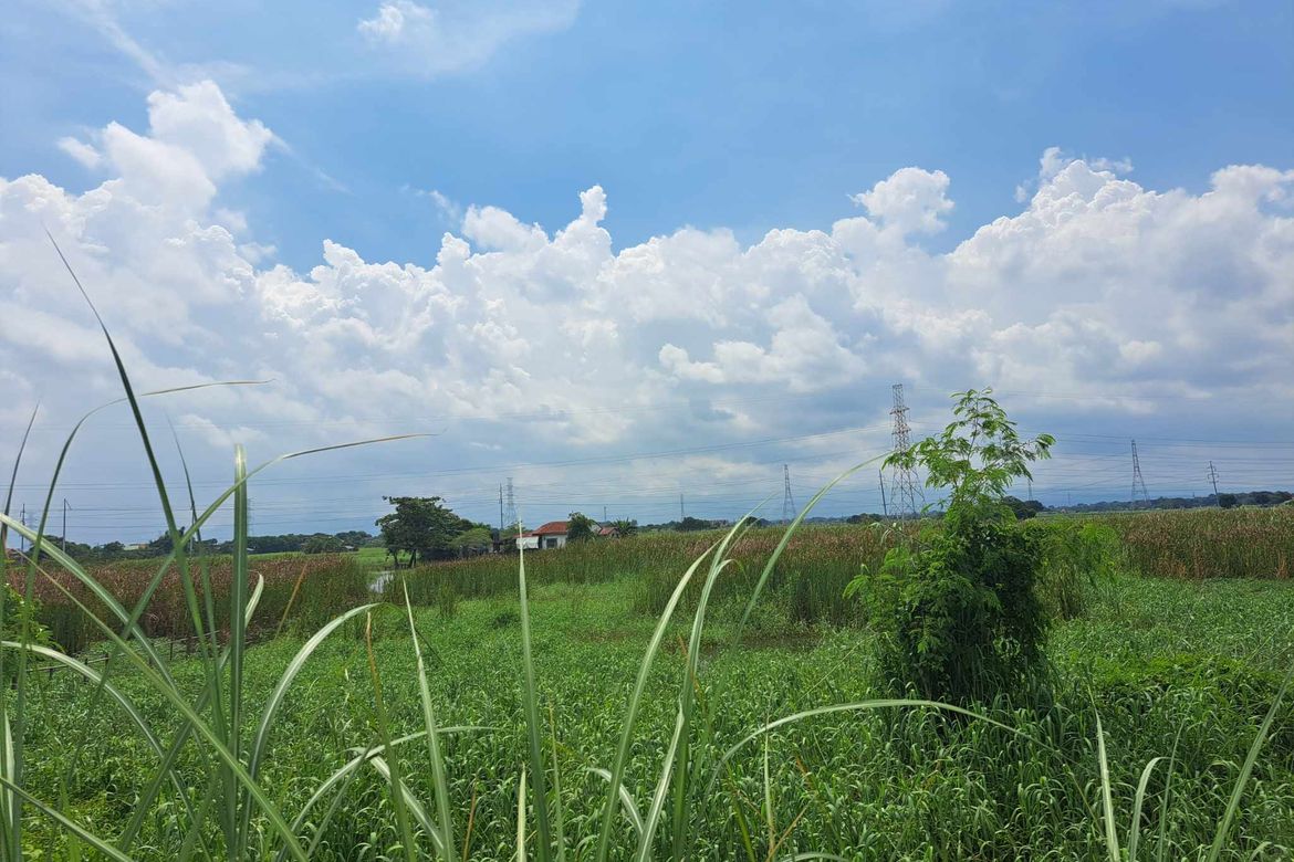 Land for Sale in Santa Cruz, Lubao, Pampanga – photo 3