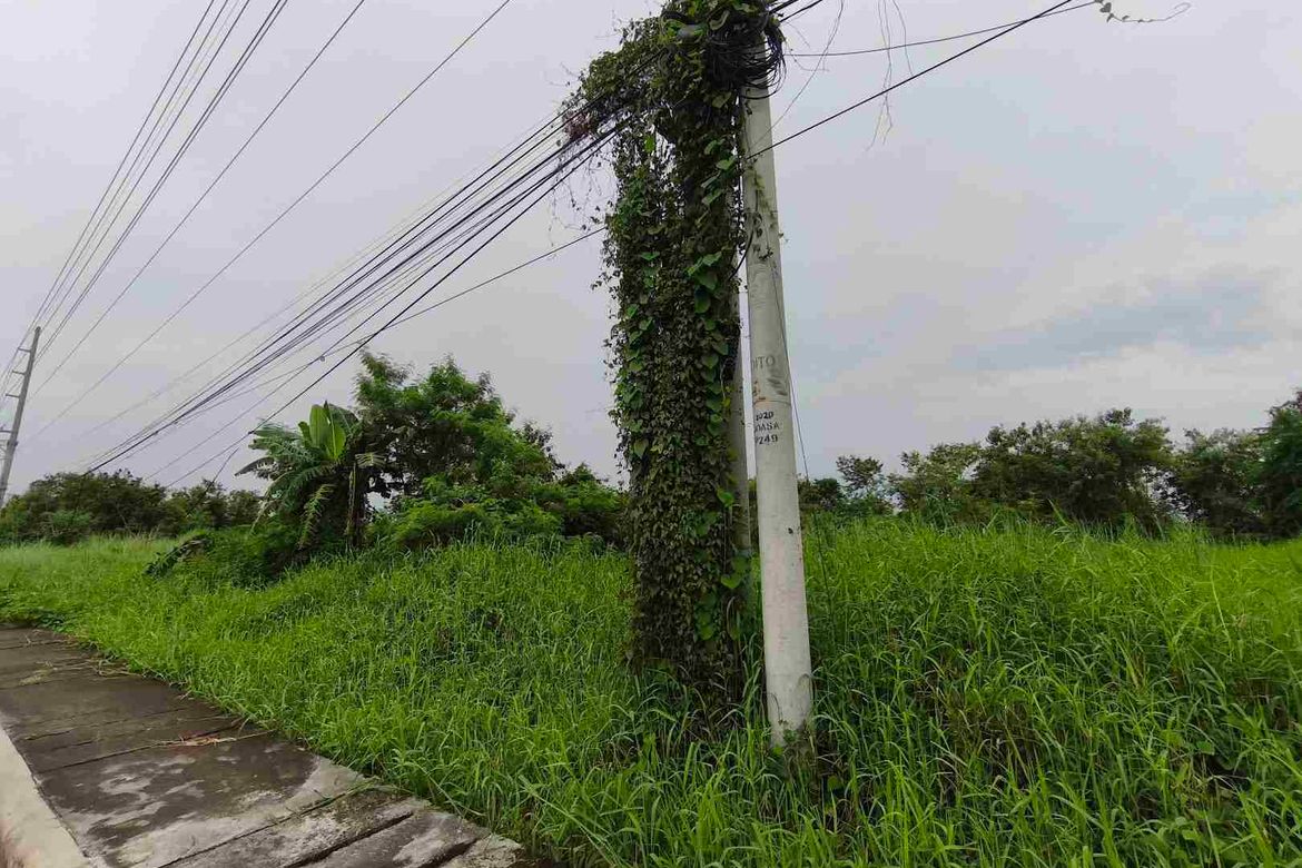 Land for Sale in Santa Cruz, Lubao, Pampanga – photo 3