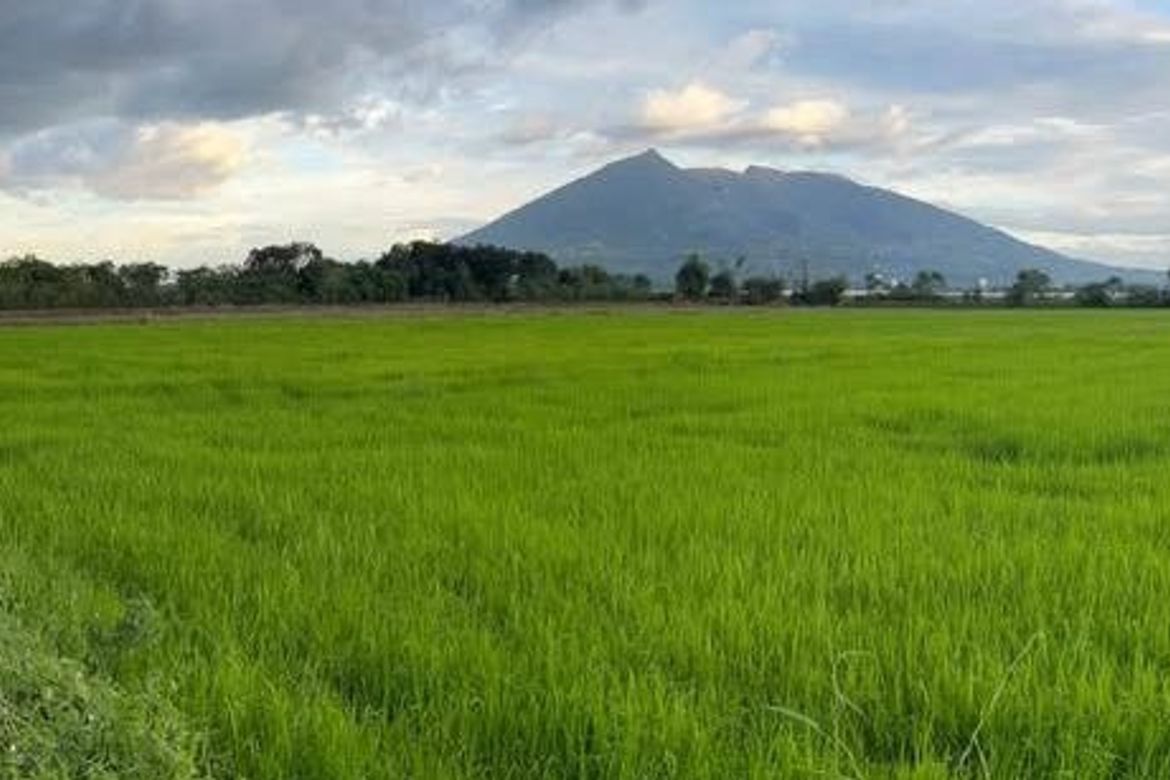 Land for Sale in Santa Cruz, Magalang, Pampanga – photo 3